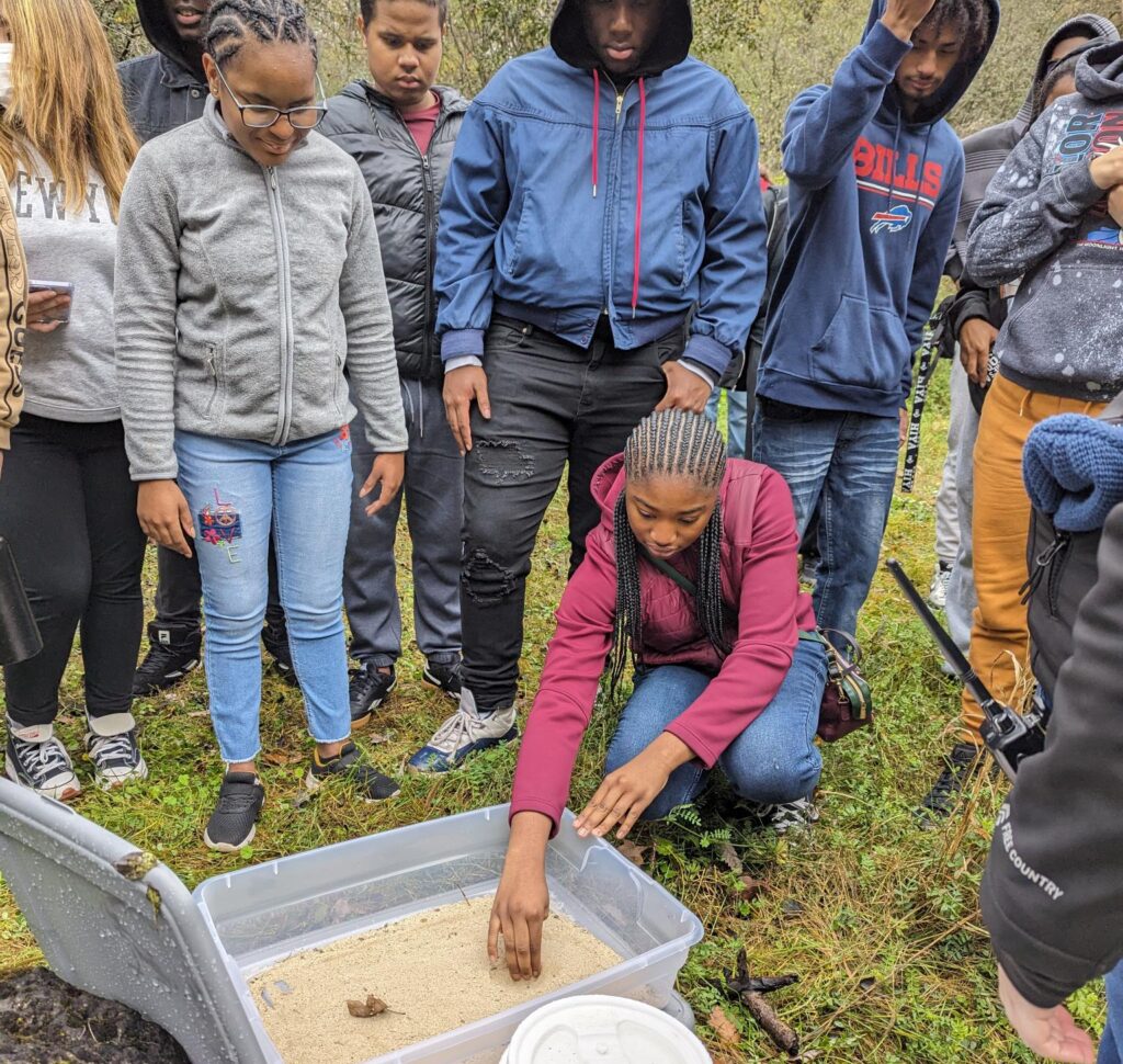Students looking in a container of sand